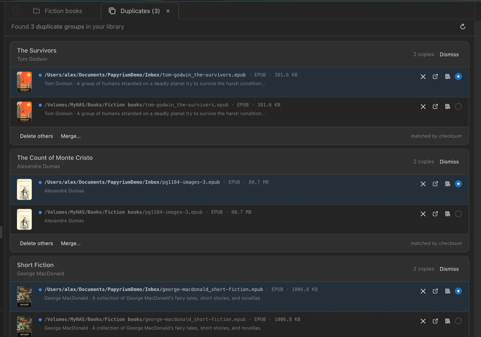 Papyrium duplicate detection review