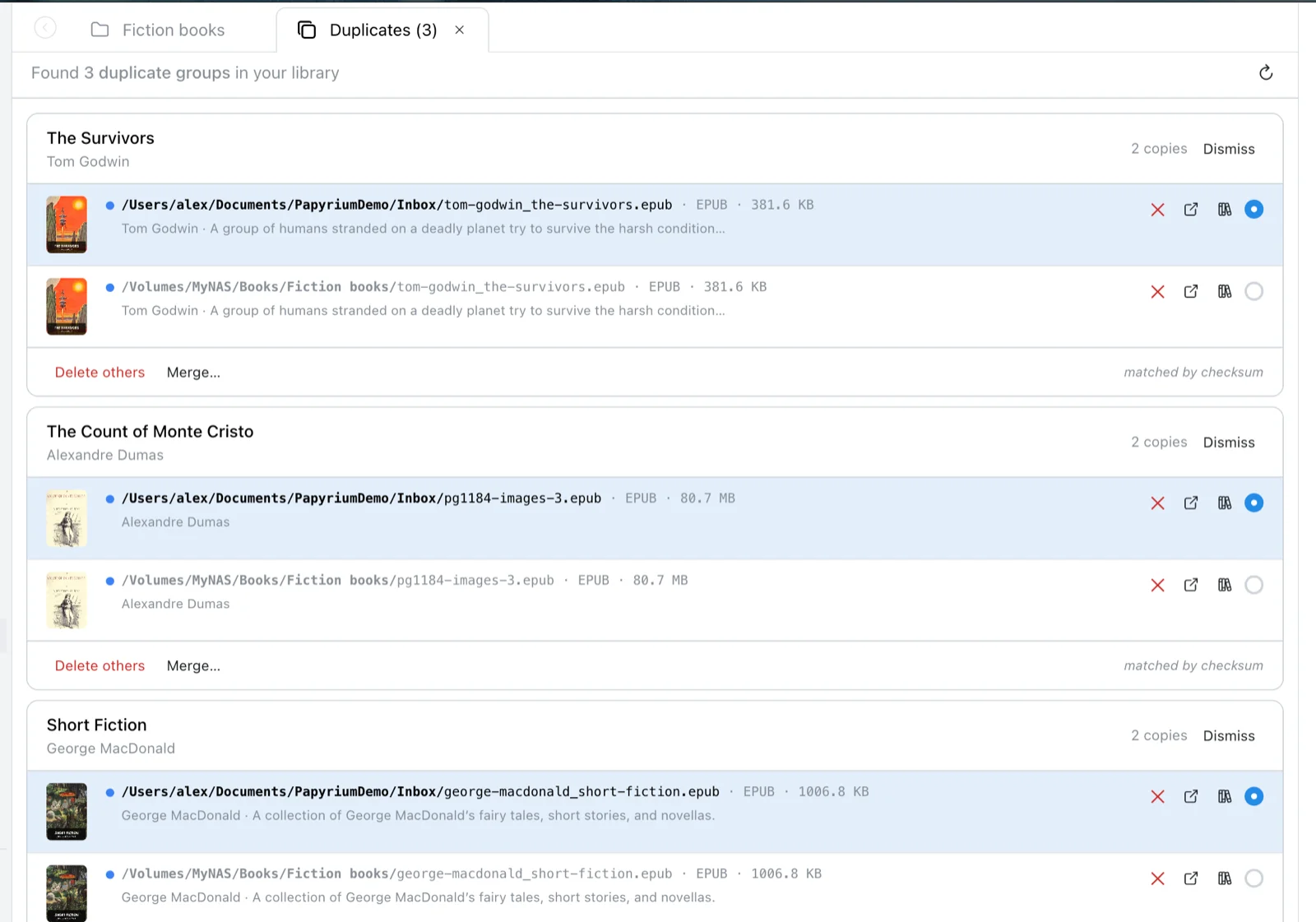 Papyrium duplicate detection review